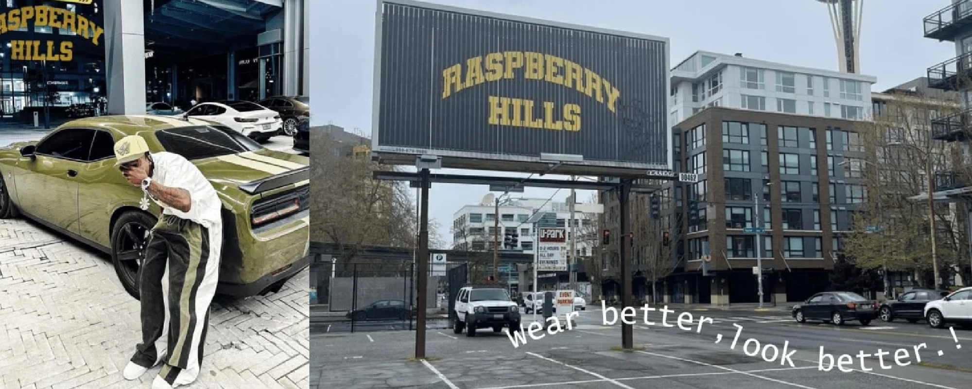 raspberry hills banner (2)