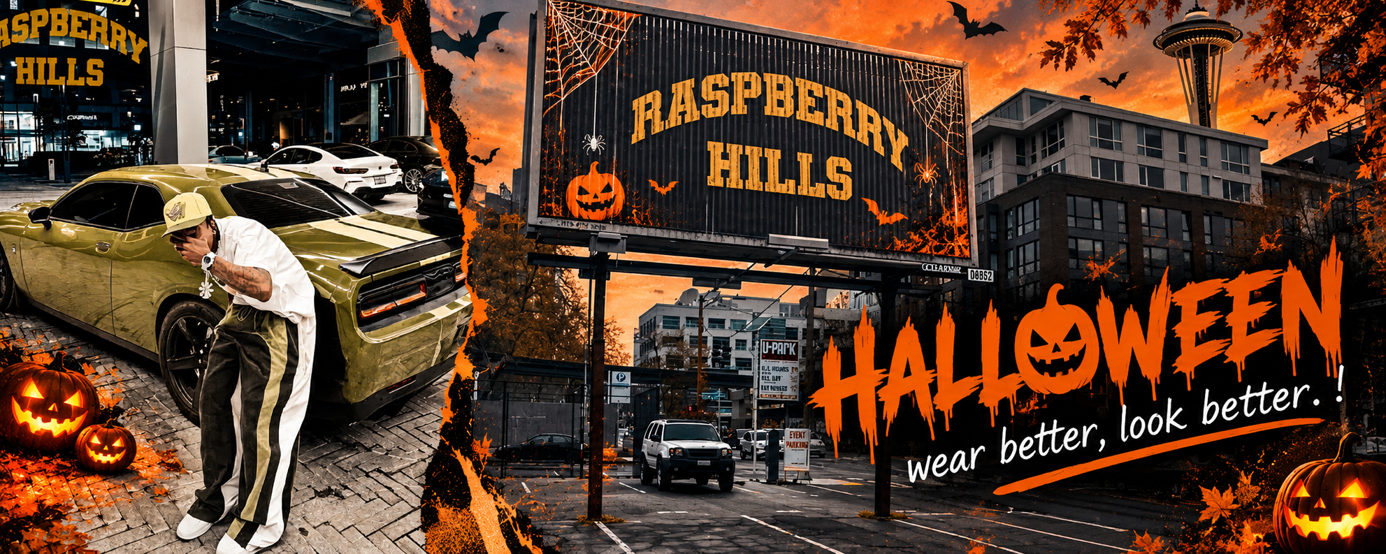 Raspberry-Hills Banner